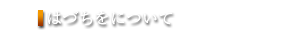 はづちをについて